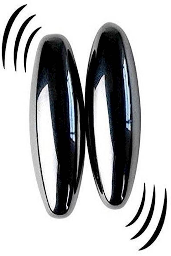 Rattlesnake Egg Buzz Magnets Set