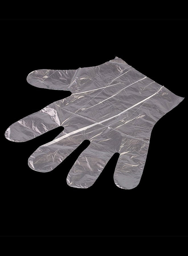 Plastic Disposable Gloves Clear/Blue/Silver