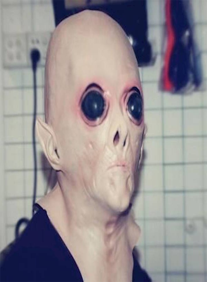 Festival Costume Mask