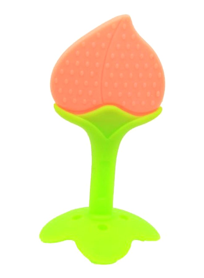 Fruit Teething Toy With Holder