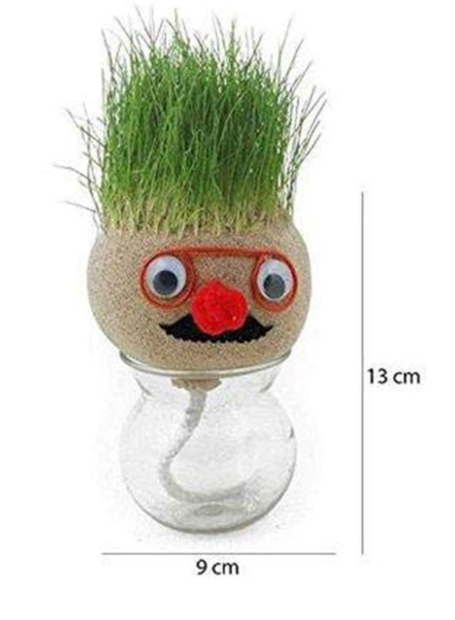 Growing Grass Head Grow For Small Time Indoor Plant 13x9cm