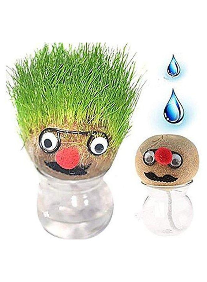 Growing Grass Head Grow For Small Time Indoor Plant 13x9cm