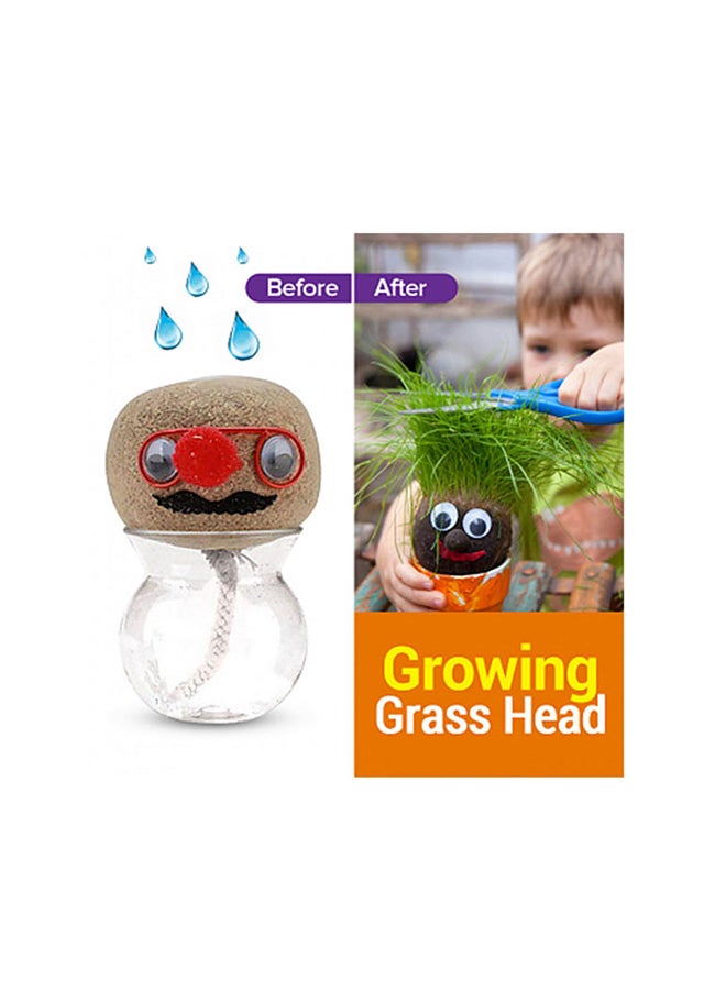 Growing Grass Head Grow For Small Time Indoor Plant 13x9cm